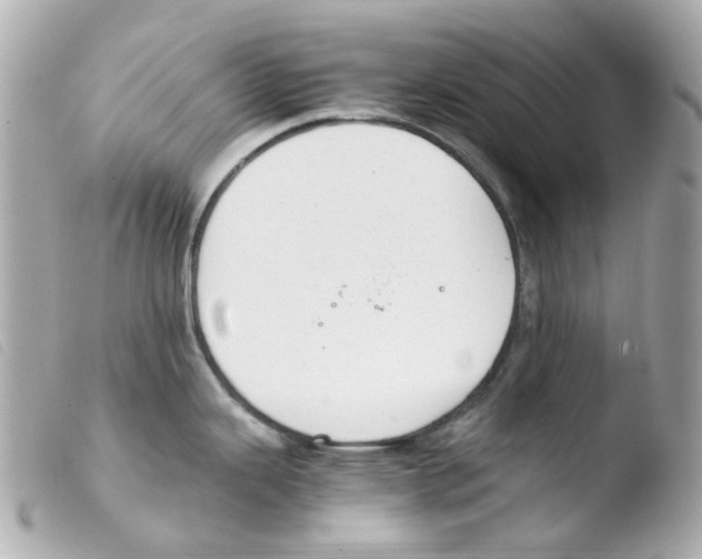 X0000103481343200810100950