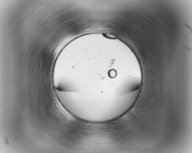 X0000103481344200810100950