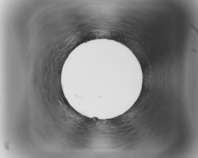 X0000103481345200810100949