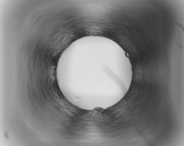 X0000103481346200810100949