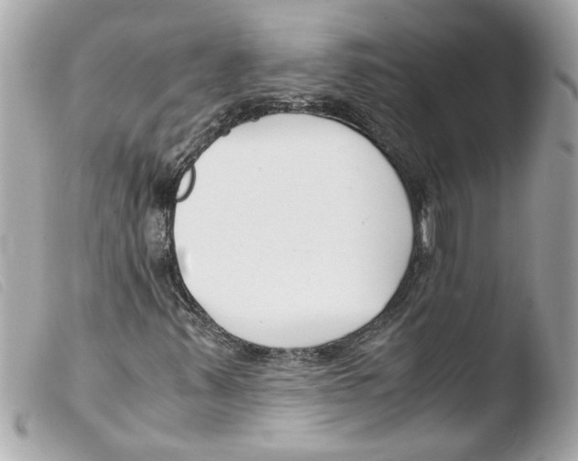 X0000103481347200810100949
