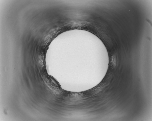 X0000103481348200810100949