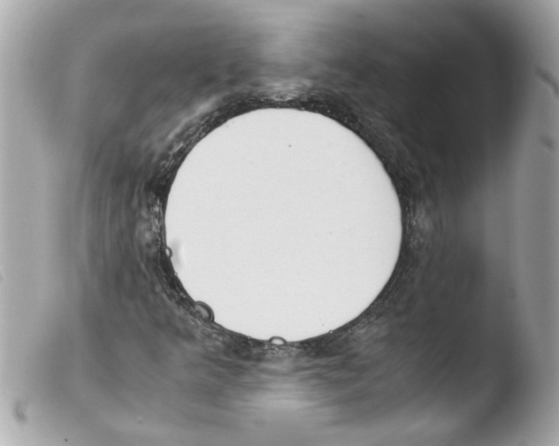 X0000103481349200810100949