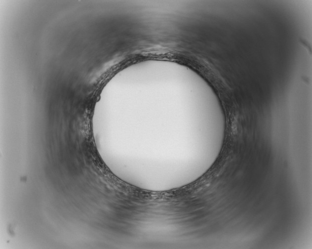 X0000103481350200810100949