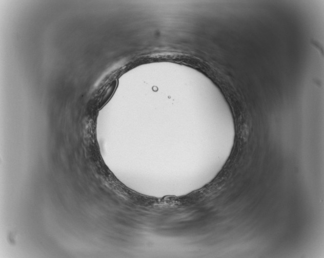 X0000103481351200810100949