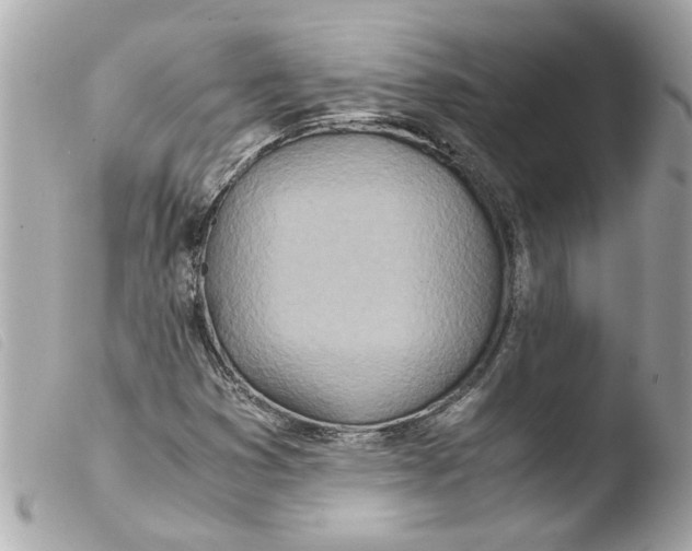 X0000103481353200810100949