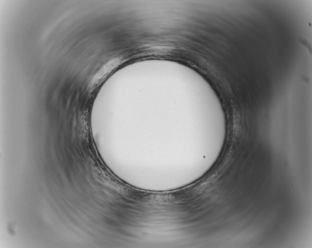 X0000103481354200810100949