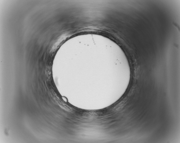 X0000103481355200810100949