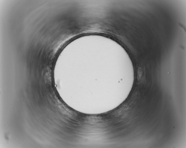 X0000103481356200810100949
