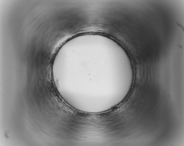 X0000103481358200810100949