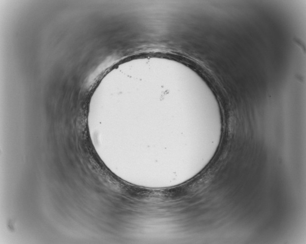 X0000103481359200810100949