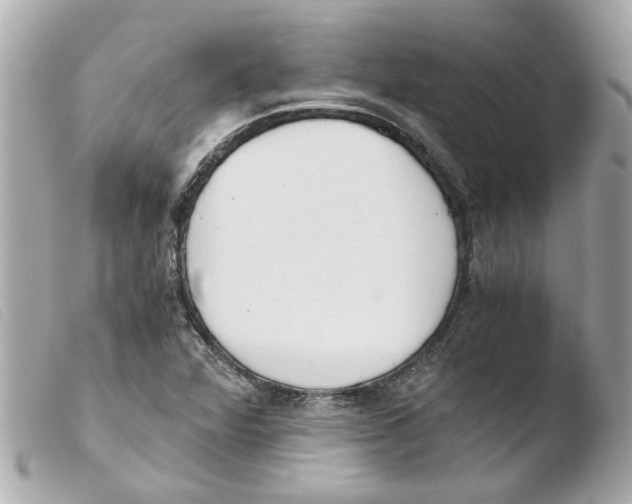 X0000103481360200810100949