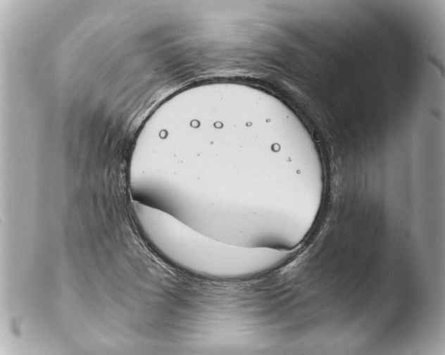 X0000103481361200810100949