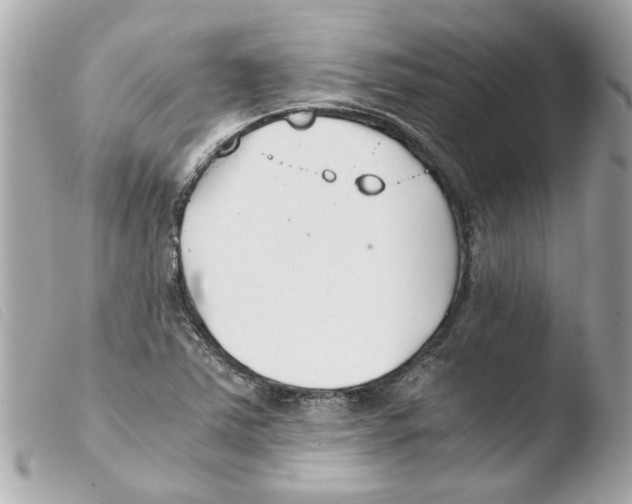 X0000103481363200810100949