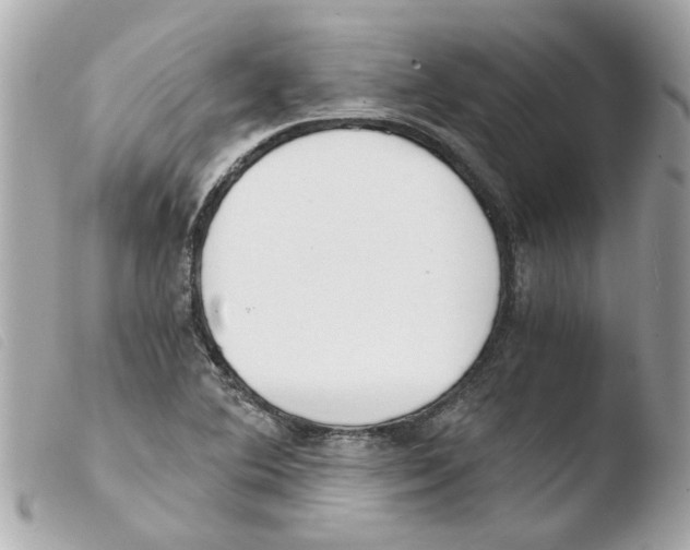 X0000103481364200810100949