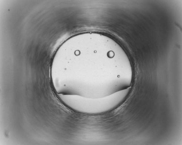 X0000103481365200810100949