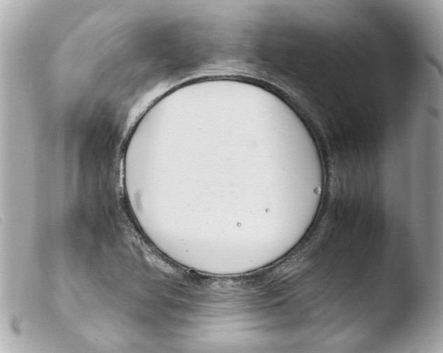 X0000103481366200810100949