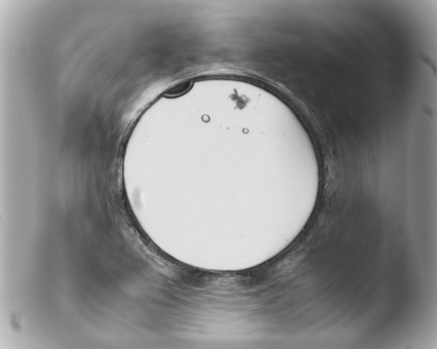 X0000103481367200810100949