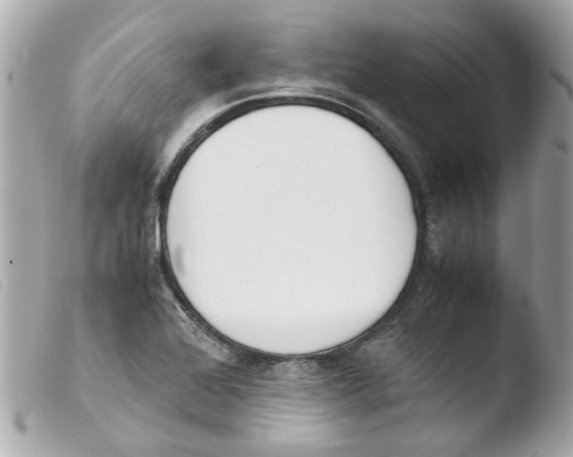 X0000103481368200810100949