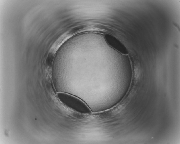 X0000103481369200810100949