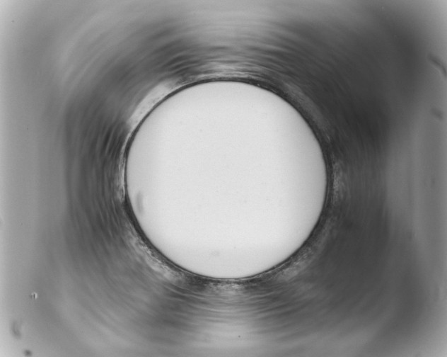 X0000103481370200810100949