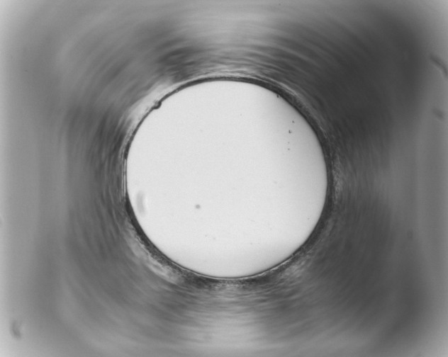 X0000103481371200810100949