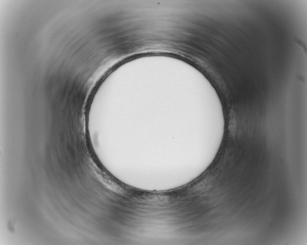 X0000103481372200810100949
