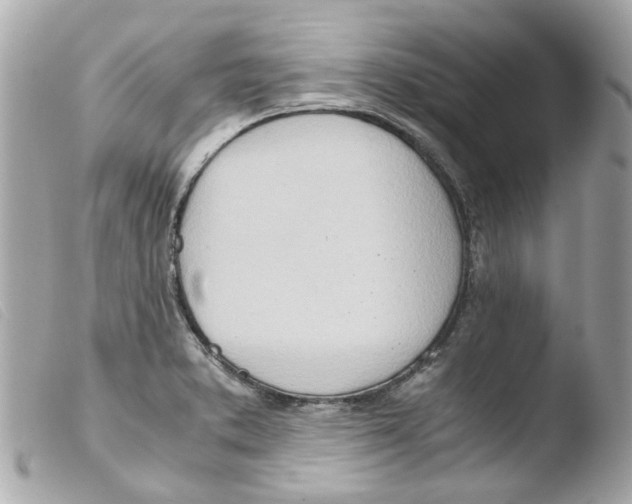 X0000103481373200810100949