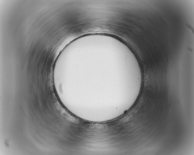 X0000103481374200810100949