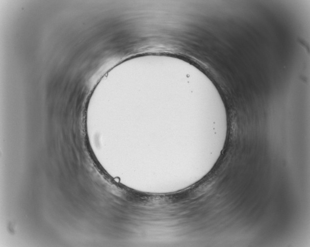 X0000103481375200810100949