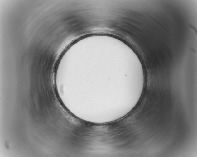 X0000103481376200810100949