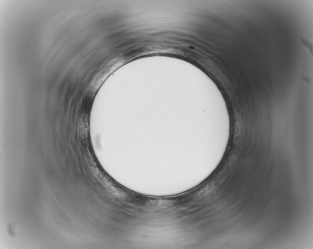 X0000103481377200810100949