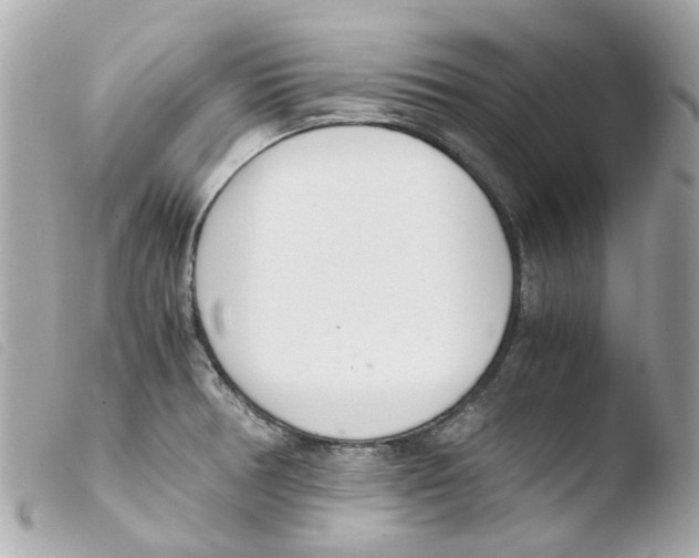 X0000103481378200810100949