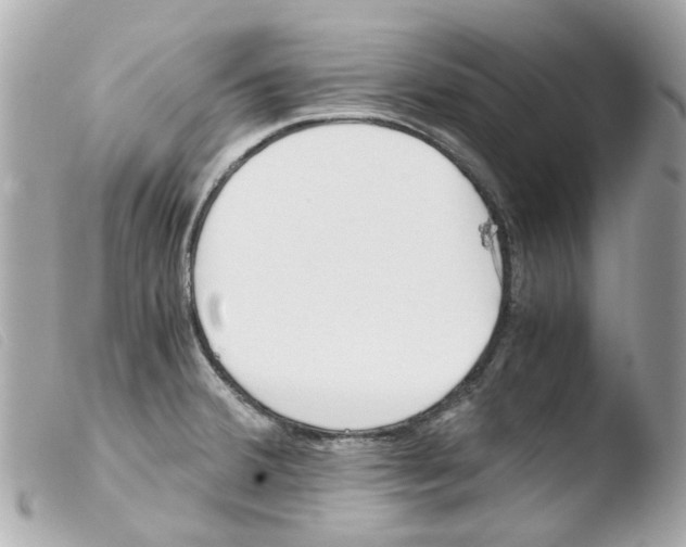 X0000103481380200810100949