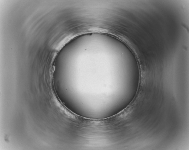 X0000103481381200810100949