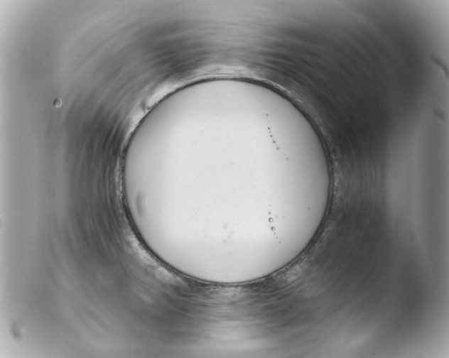 X0000103481382200810100949