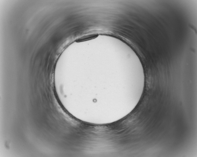 X0000103481383200810100949