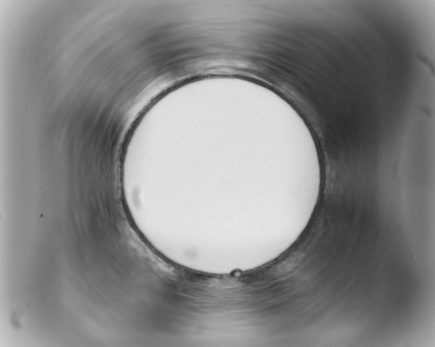 X0000103481384200810100949