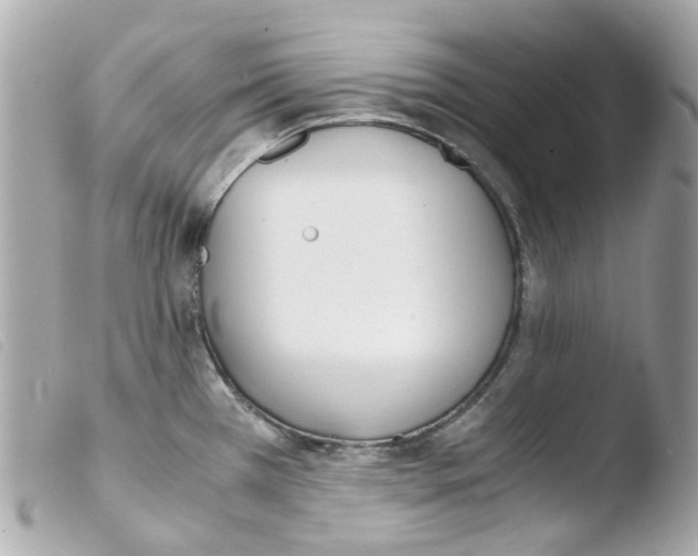 X0000103481385200810100949