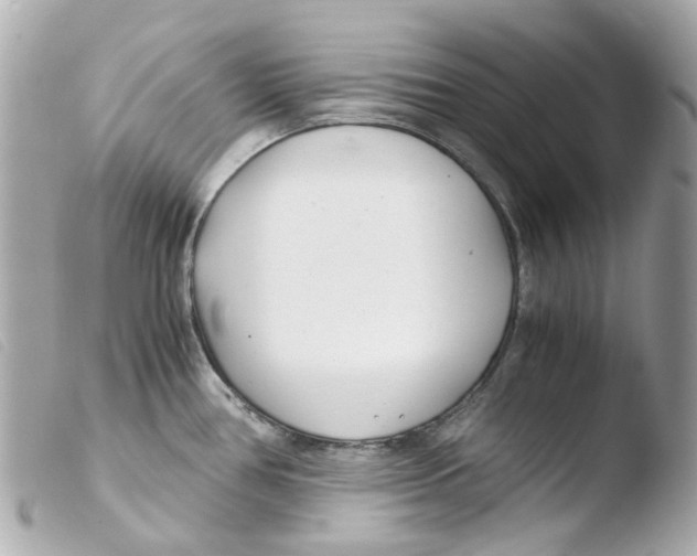 X0000103481386200810100949