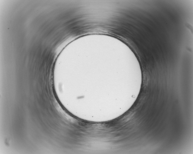 X0000103481387200810100949