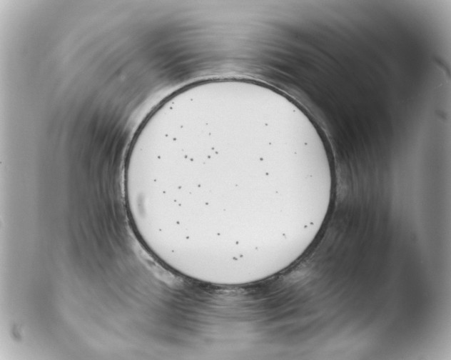 X0000103481388200810100949