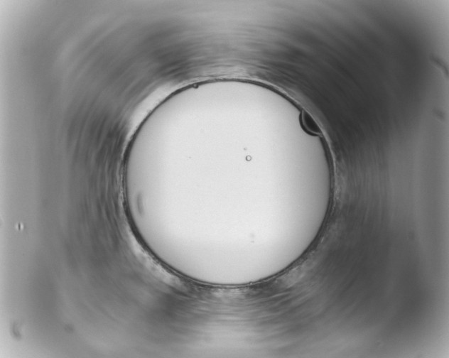 X0000103481389200810100949