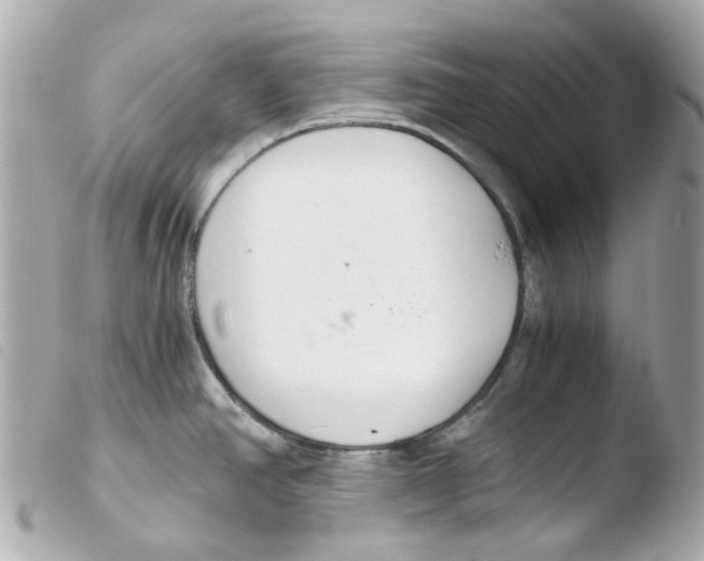 X0000103481390200810100949