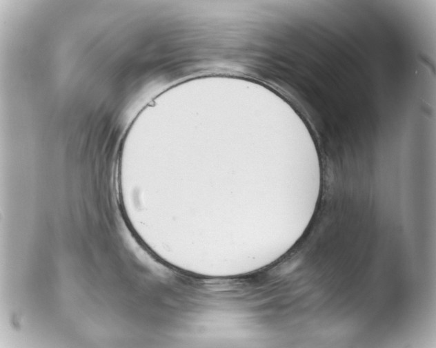 X0000103481391200810100949