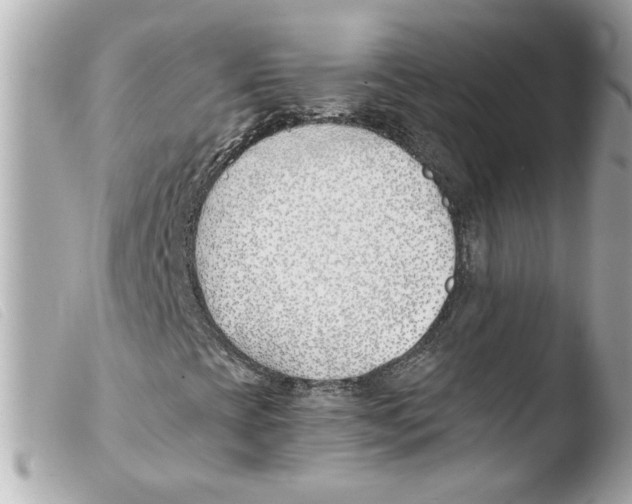 X0000103481393200810100948