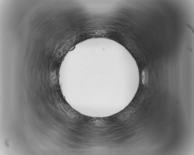 X0000103481395200810100948