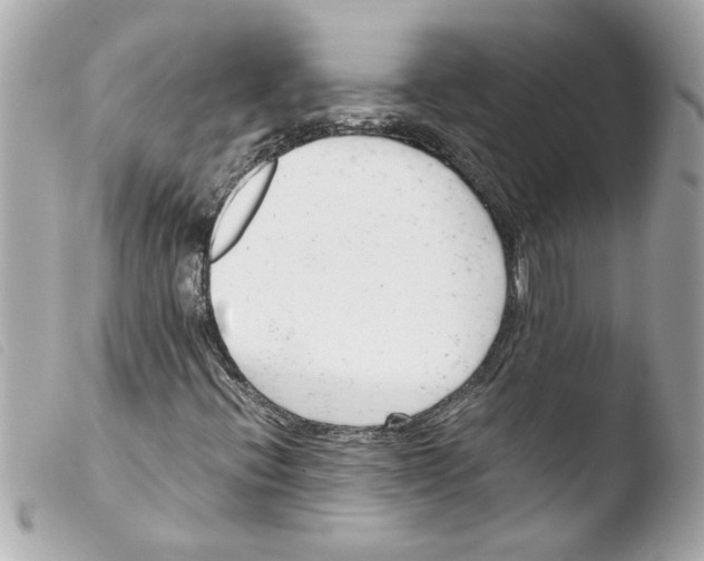 X0000103481396200810100948