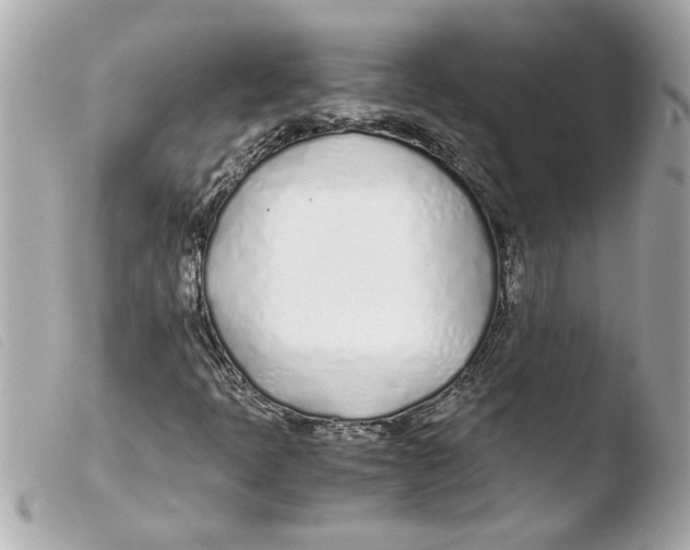 X0000103481397200810100948