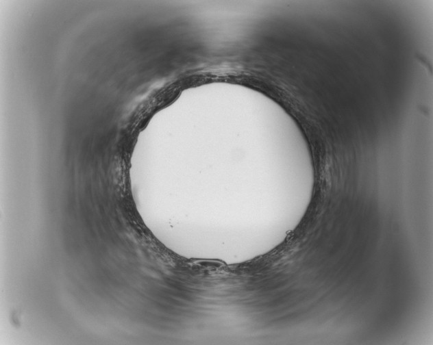 X0000103481398200810100948